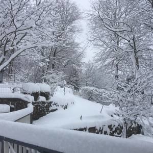 Meet your Posher, Ronaldverlyjoy